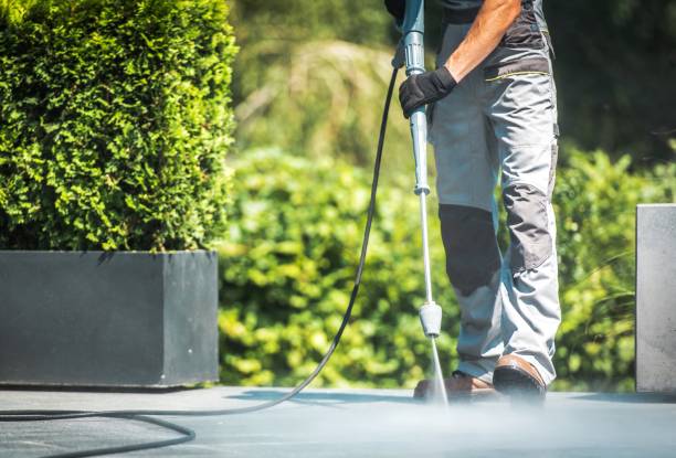 Best Animal Enclosure Cleaning  in Wright City, MO
