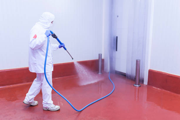 Best Oil Spill Cleanup  in Wright City, MO