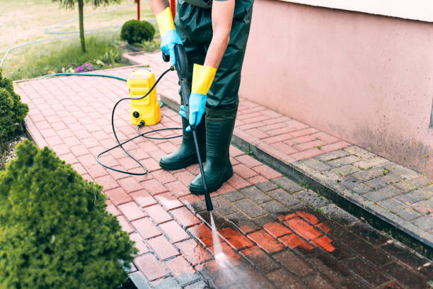 Best Sidewalk and Walkway Cleaning  in Wright City, MO